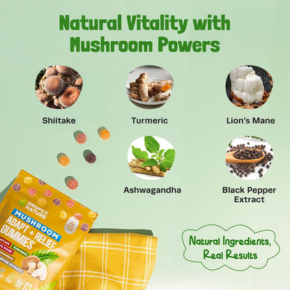 Mushroom Adapt + Relief Gummies