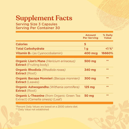 Four Sigmatic Focus Mushroom Complex