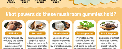 Mushroom Adapt + Relief Gummies