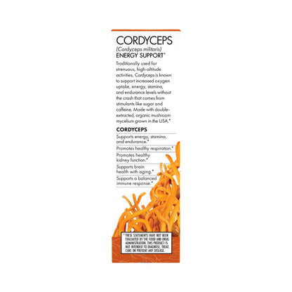 Cordyceps Extract